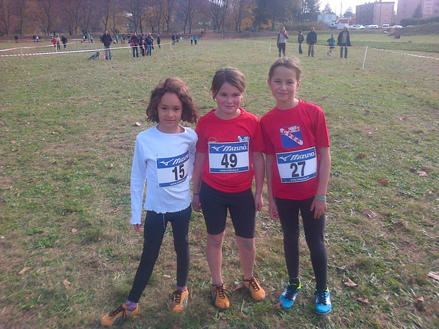 poussinesstegreve2014